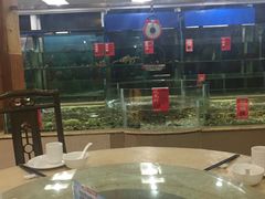 -南庄酒家·海鲜粤菜·25年老字号(环城南路店)