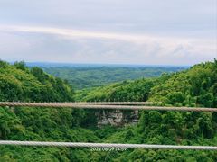 -川西竹海景区