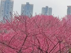 -重庆彩云湖湿地公园