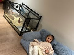-有猫主题·治愈系猫咖(曾厝垵店)