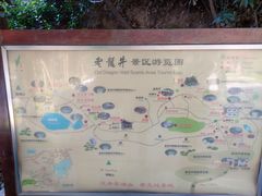 -十八棵（老龙井）御茶园(老龙井店)