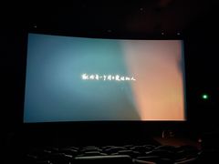 -英皇电影城(平安金融中心IMAX激光店)