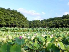 -韶山毛泽东同志故居