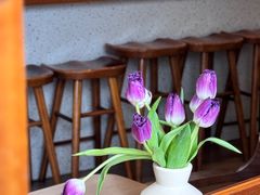 -有猫主题·治愈系猫咖(曾厝垵店)