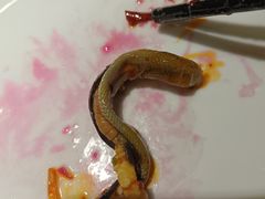 -乐山第一家临江鳝丝(茶坊路店)