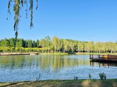 -东郊湿地公园