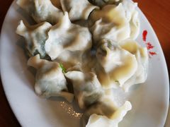 猪肉茴香三鲜水饺-鸿毛饺子(紫竹桥店)