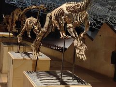 -世界恐龙谷景区