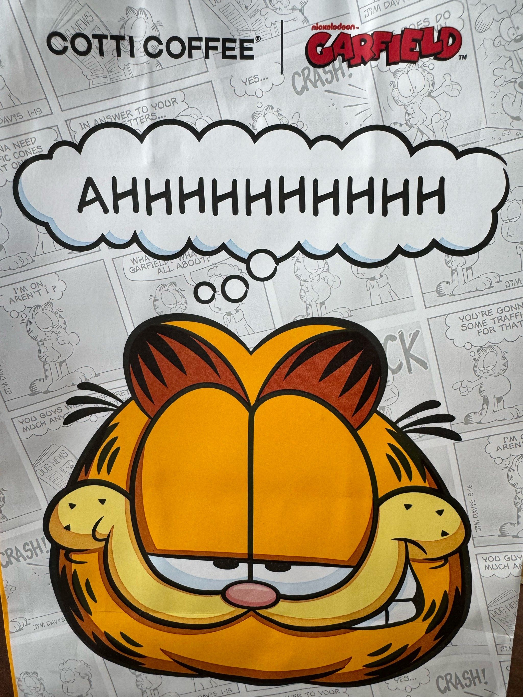 可爱的加菲猫