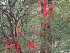 -青州市云门山风景区