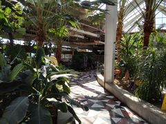 -红栌温泉山庄生态美食餐厅