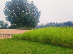 -汉长安城未央宫国家考古遗址公园