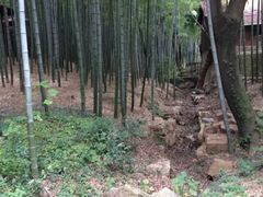 -宝岩生态观光园