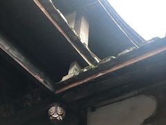 -福建土楼（华安）旅游区•大地土楼群