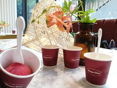 -哈根达斯(武汉天地店)