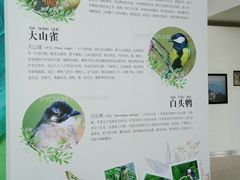 -上海长江河口科技馆