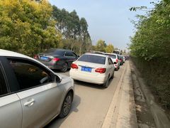 -秀丽东方
