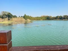 -南湖湿地公园
