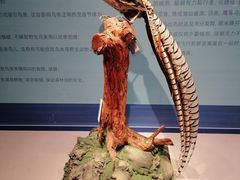 -台州博物馆