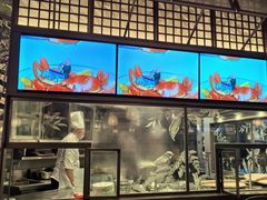 -桂满陇·海市蜃楼·黑金(国金店)