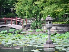 -嘉定紫藤园