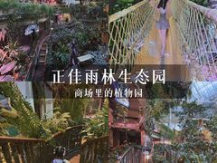 -正佳雨林生态植物园