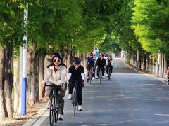 -状元楼(金溪路店)