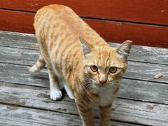 -百味馆·海鲜·湛江菜(后海花园店)