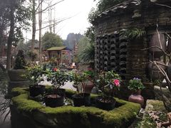 -青城甲(青城山店)