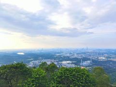 -水濂山森林公园