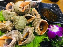 姜汁海螺-老东镇啤酒屋海鲜加工·蒸汽海鲜·海鲜烧烤(台东店)