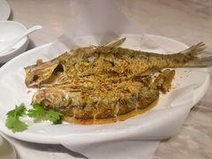 -新梅华餐厅(星悦汇店)