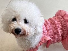 -怪兽屋·羊驼·猫咖·狗咖(俊华广场店)