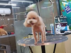 -美联众合动物医院(唯恩分院)