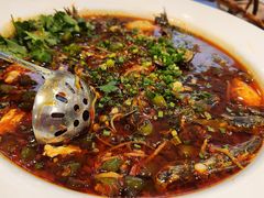 -院8里·少城记忆老川菜(宽窄巷子店)