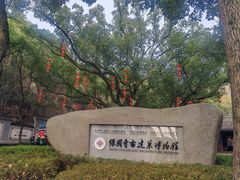 -宁波市保国寺古建筑博物馆