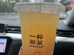 -一杯潮茶·专注潮汕茶饮(十二中创始店)