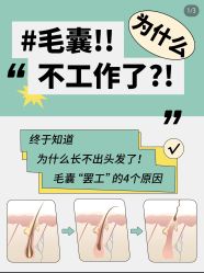 -Bollins波林丝•专研护发中心