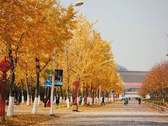 -金陵图书馆