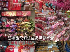 -盒马鲜生(馥邦国际店)