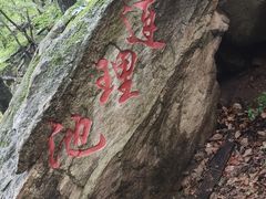-尧山风景区
