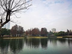 -四海公园(南山区)