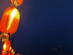 -空港花田景区