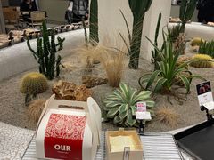 -OUR Bakery(SKP-S店)