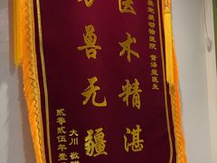 -美迦爱-牙专科·兔科·骨科诊疗中心(北苑店)
