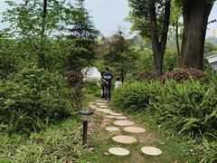 -南山植物园