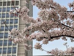 -复旦大学光华楼