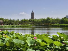 -西海子公园