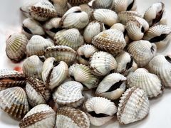 -广东潮汕酒家(解放西街店)