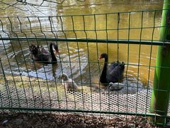 -长白岛森林公园